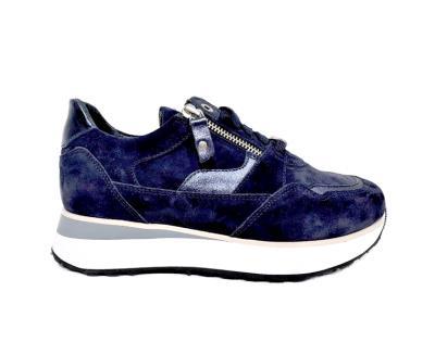  31.009 H Dark Blue