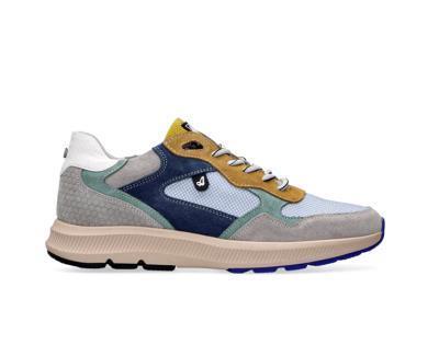  15.1717 H Blue grey green